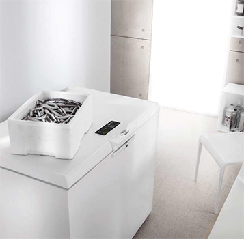 Illustration d'un cong�lateur Green Generation