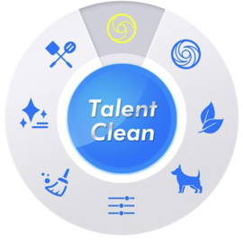 Talent Clean