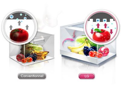 Clayette Magic Crisper