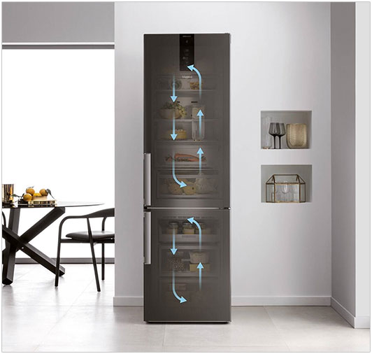 Visuel pr�sentant un r�frig�rateur Dual No Frost