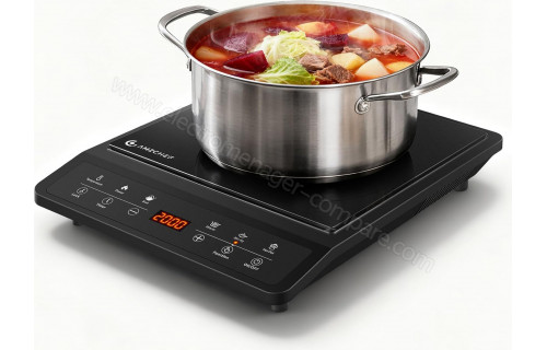 AMZCHEF CE-SK-20IHG26-BK