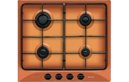 BRANDT TE1016F