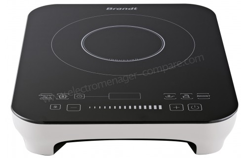 BRANDT TI2010W