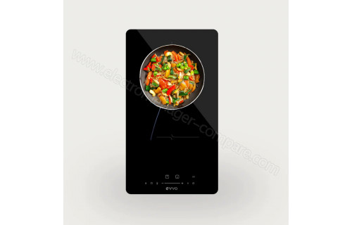 EVVO V31