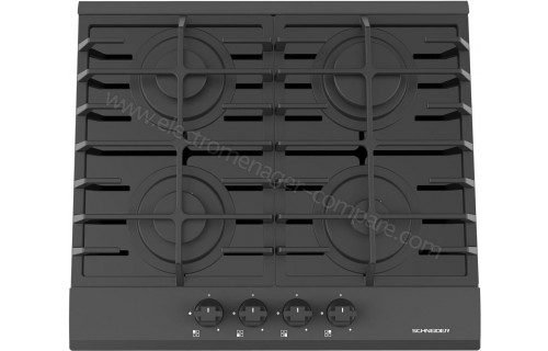 SCHNEIDER SCTG6040N3