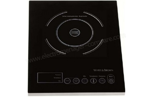 WHITE & BROWN PC 491