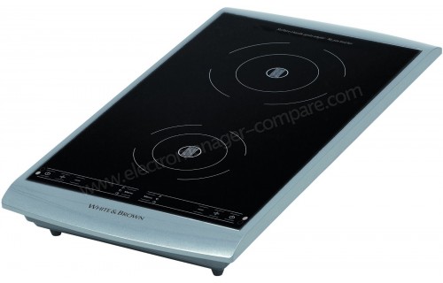 WHITE & BROWN PC 493