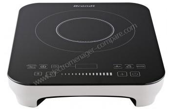 BRANDT TI2010W