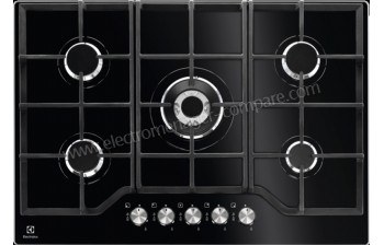 ELECTROLUX KGG7536K Import EU