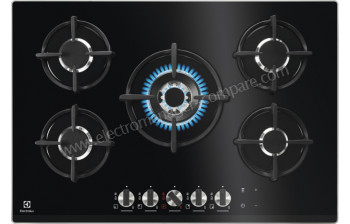 ELECTROLUX KGG7538K Import EU