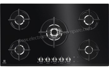 ELECTROLUX KGG9538K