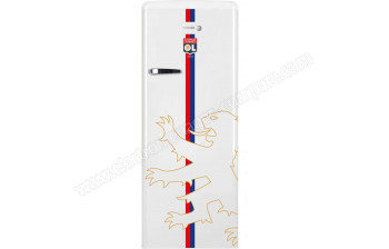 FAGOR FSPR194OLW - A partir de : 387.04 &euro; chez Villatech chez FNAC