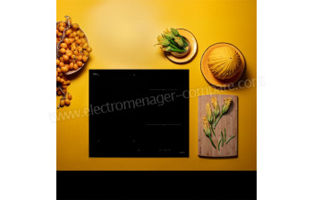 FALMEC INDUCDS3221 - A partir de : 703.00 &euro; chez Abribat Electromenager