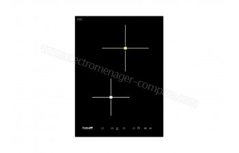 FOSTER S4000.Domino.IS.2