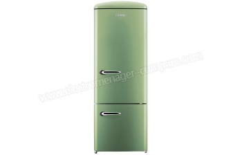 GORENJE RK60319OOL