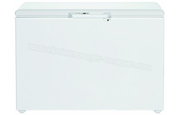 LIEBHERR GTP 3156-21