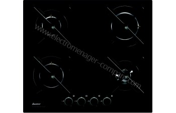 SAUTER SPG4466B - A partir de : 199.00 &euro; chez Icoza