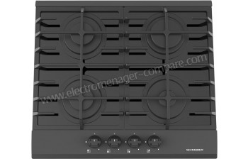 SCHNEIDER SCTG6040N3