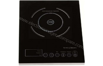 WHITE & BROWN PC 491